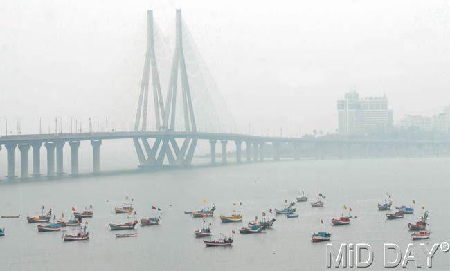 With fog enveloping most of Mumbai, the city looked like a beautiful, green hill station paradise. Pics/Emmanual Karbhari, Datta Kumbhar, Shadab Khan and Sameer Markande