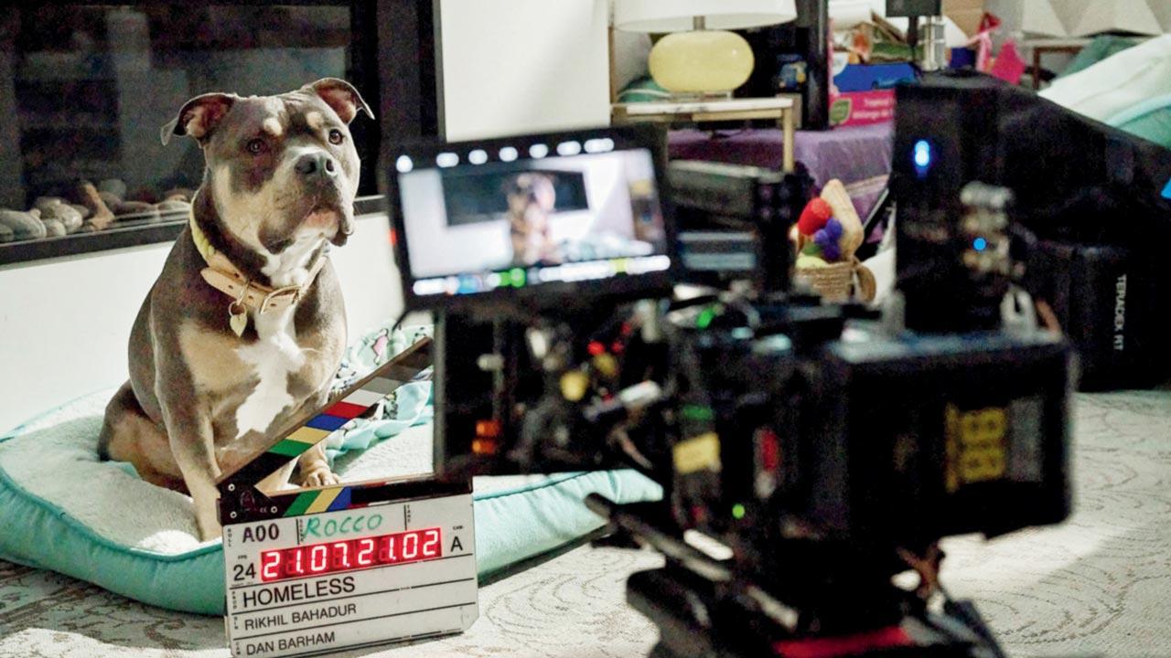 On the set of &lsquo;Homeless&rsquo;