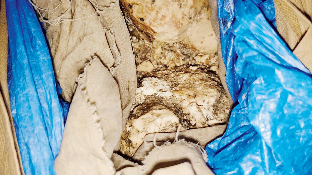 Ambergris seized from the accused
