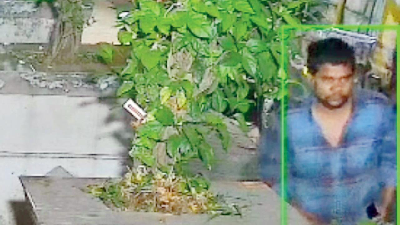 The accused, Ravi Chaurasia, seen on CCTV during one of the alleged late-night fruit thefts in Kandivli East