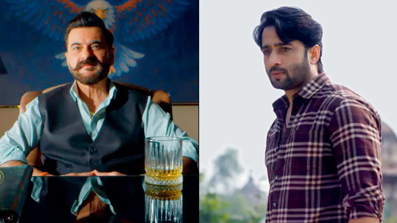 (L-R) Sanjay Kapoor and Shaheer Sheikh lead the series
