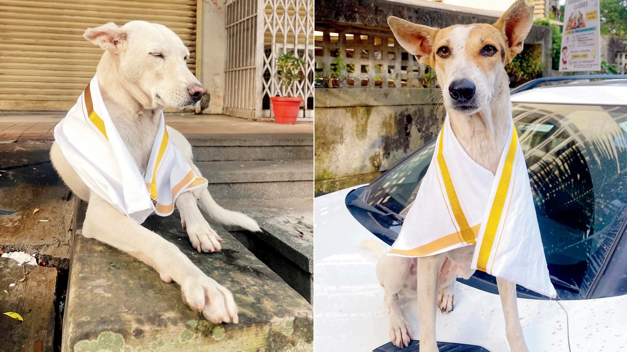 Kalyan&rsquo;s streeties in their Onam fits. PICS COURTESY/PAW DIARIES