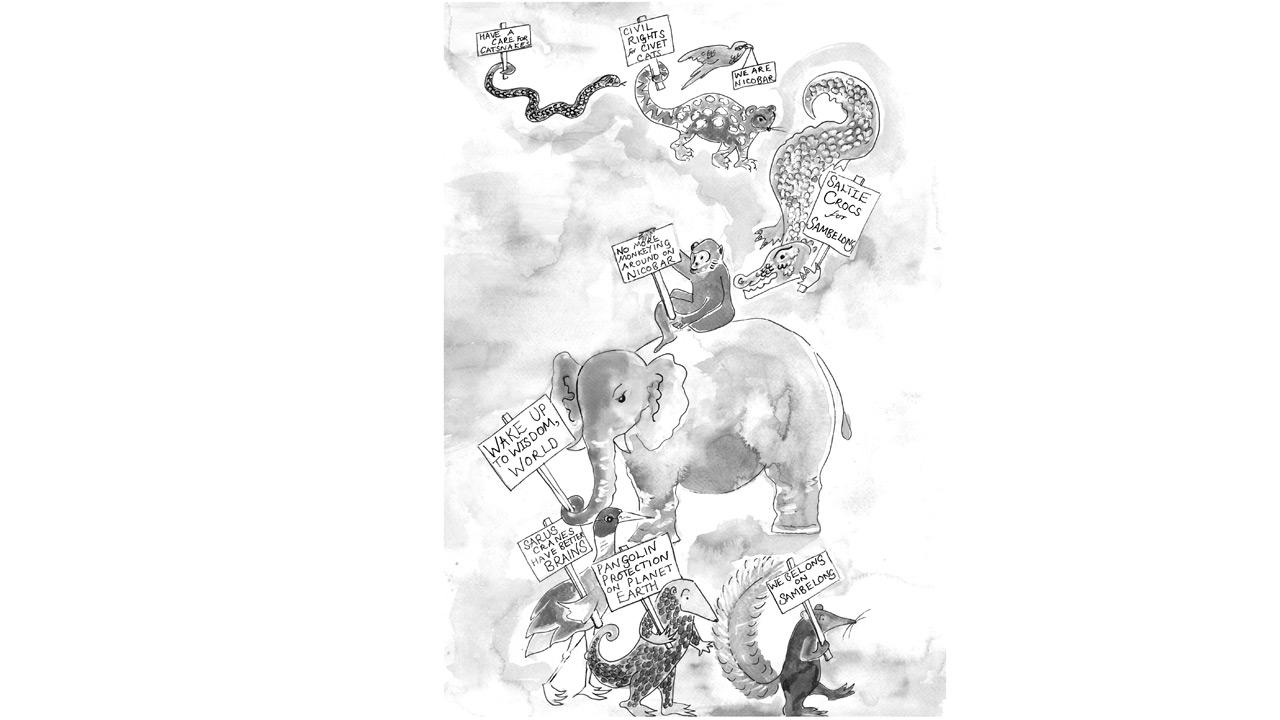 The animals display quirky placards. ILLUSTRATIONS COURTESY/TANSY TROY