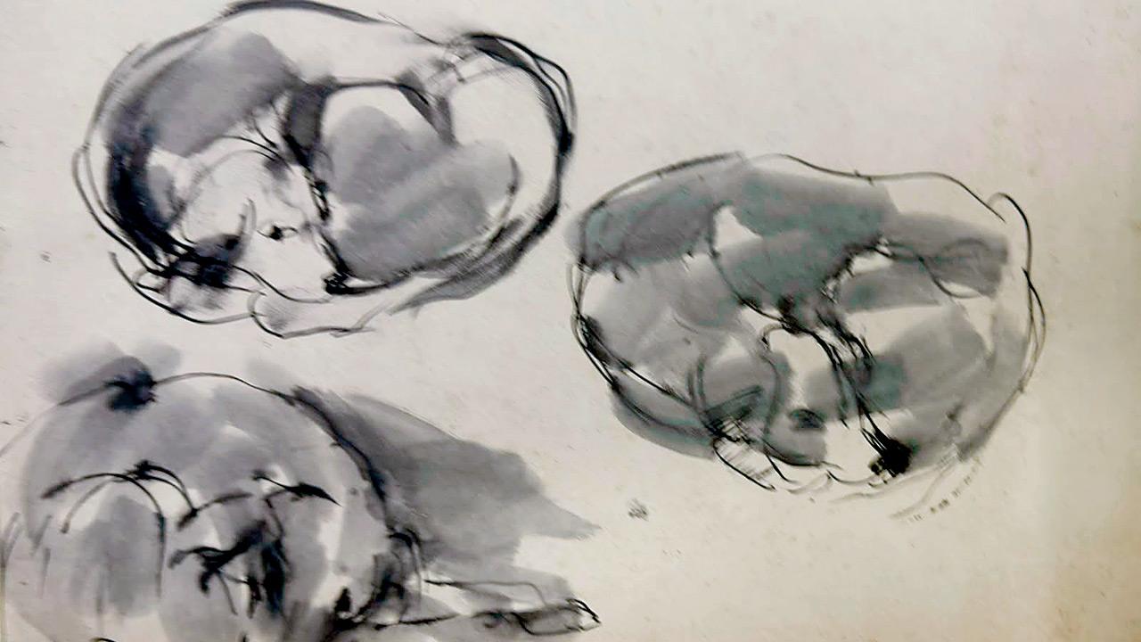Sketches by Prakash Bhise. Pics Courtesy/Strangers House Gallery
