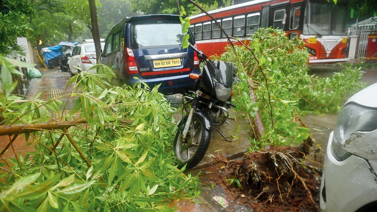 Tree branches lie across the footpath of Nargis Dutt Road in Bandra West on Sunday. PIC/SATEJ SHINDE