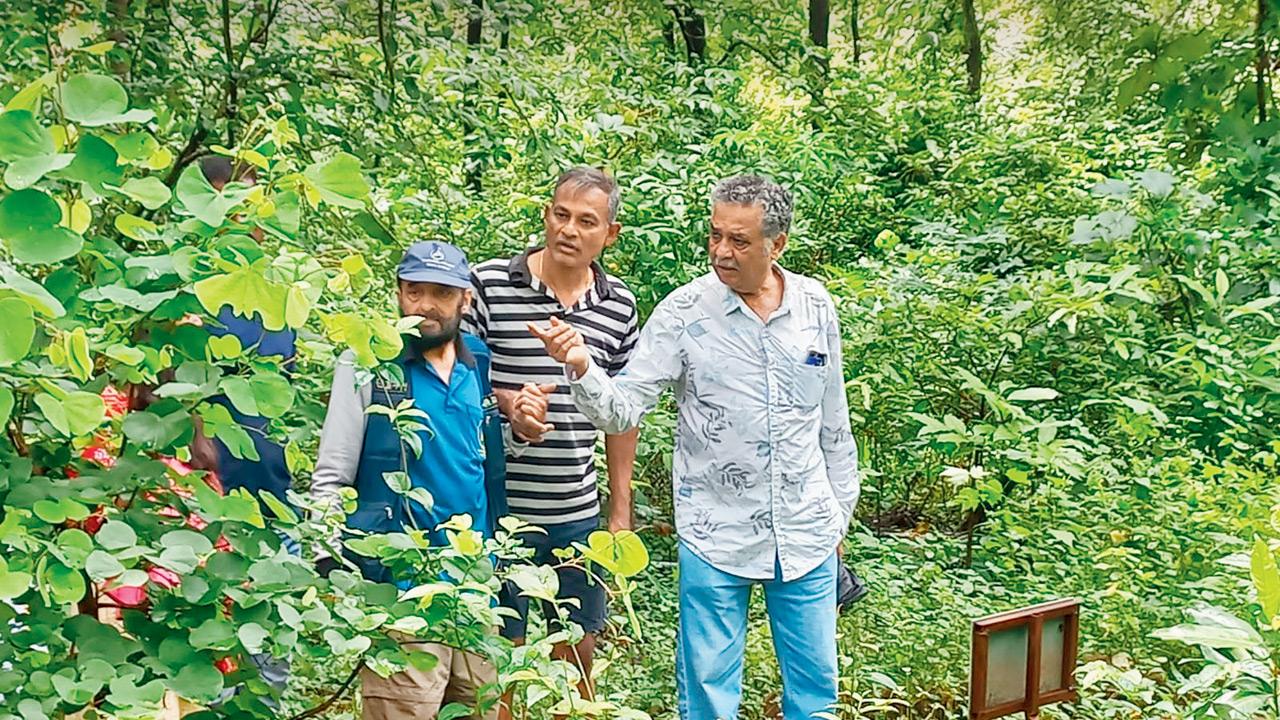 ĪIsaac Kehimkar (right) at his butterfly garden in Karjat