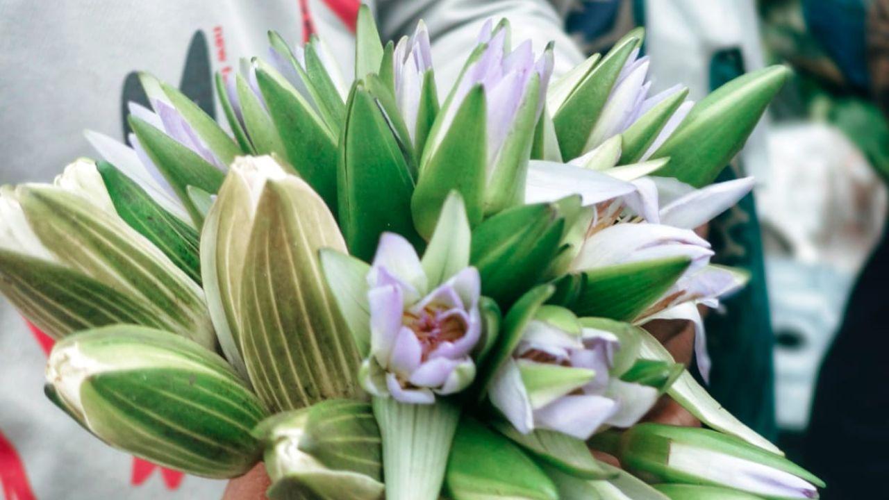 Mothers Day throwback: Alia Bhatt, Kareena Kapoors pregnancy fashion