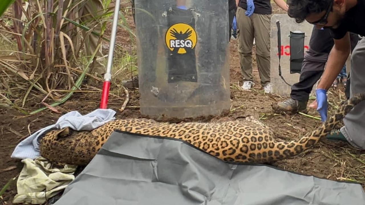 Mothers Day throwback: Alia Bhatt, Kareena Kapoors pregnancy fashion