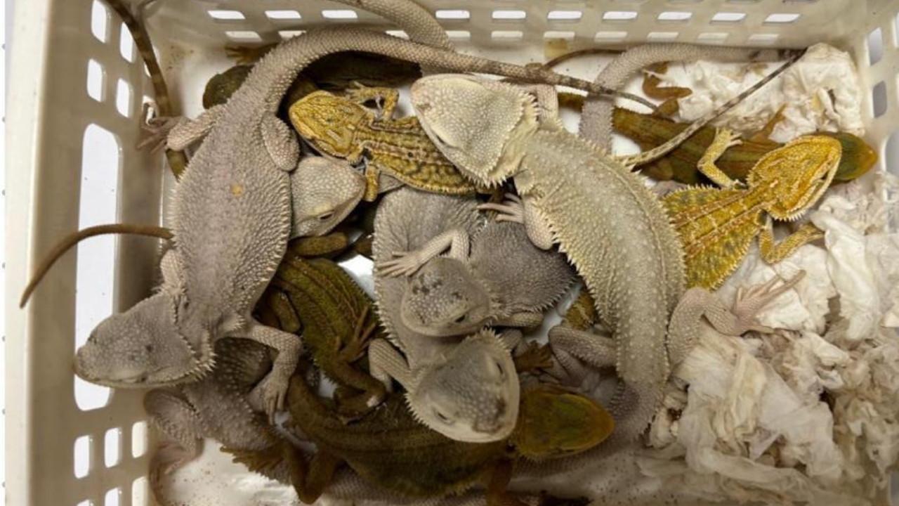 Mothers Day throwback: Alia Bhatt, Kareena Kapoors pregnancy fashion