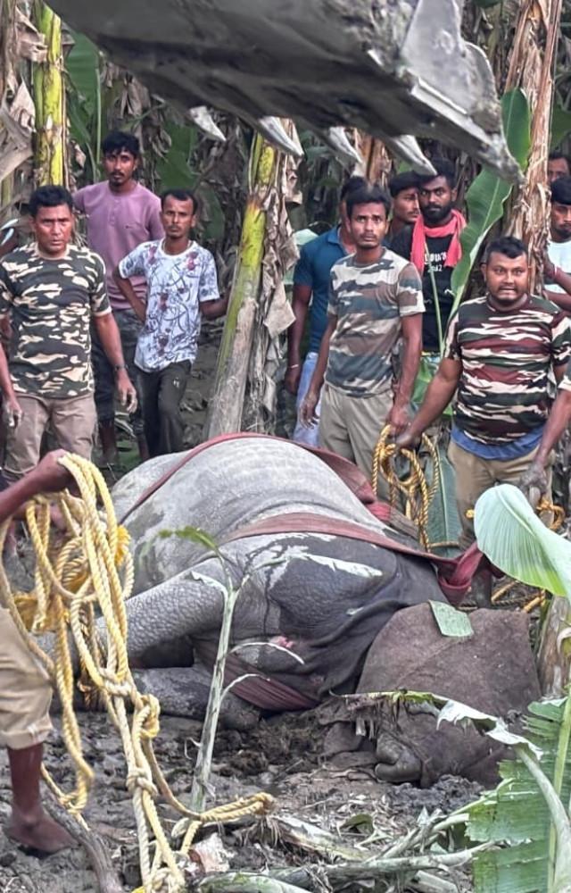 Mothers Day throwback: Alia Bhatt, Kareena Kapoors pregnancy fashion