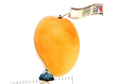 Chemical trail: How the mango is ripened artificially