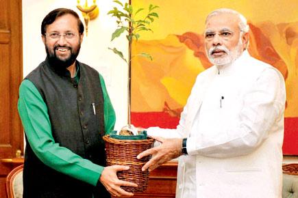 Environment Day? What environment day?!