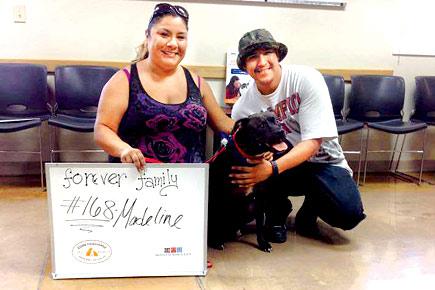 'Last dog standing' after adoption marathon gets new home, new parents