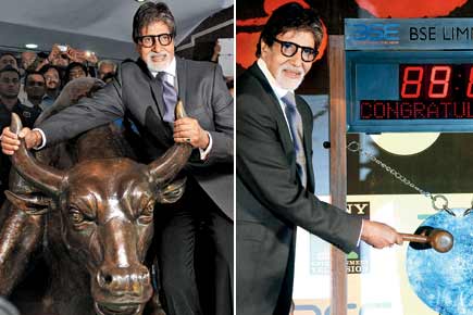 Big B takes the bull by its horns!
