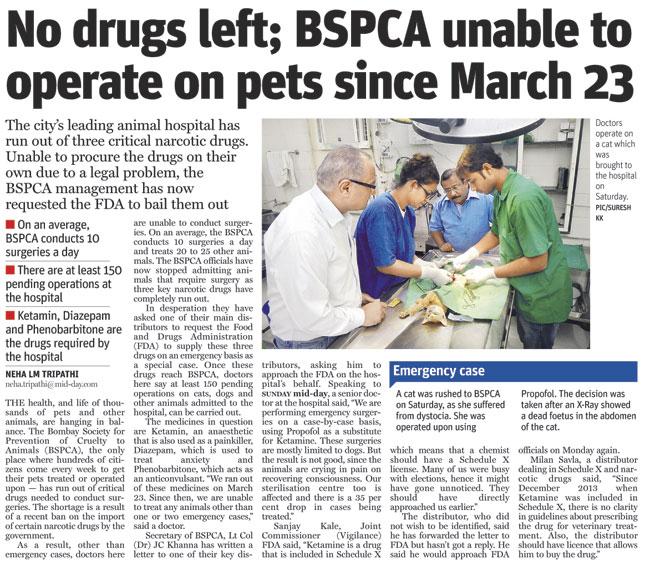 Sunday mid-day report on May 4, informing about the closure of the BSPCA’s surgical ward due to unavailability of crucial drugs