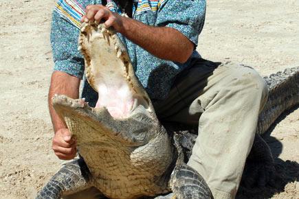 Meet, man who wrestles with alligators for fun!