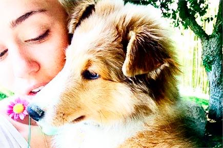 Miley Cyrus takes shower with new dog