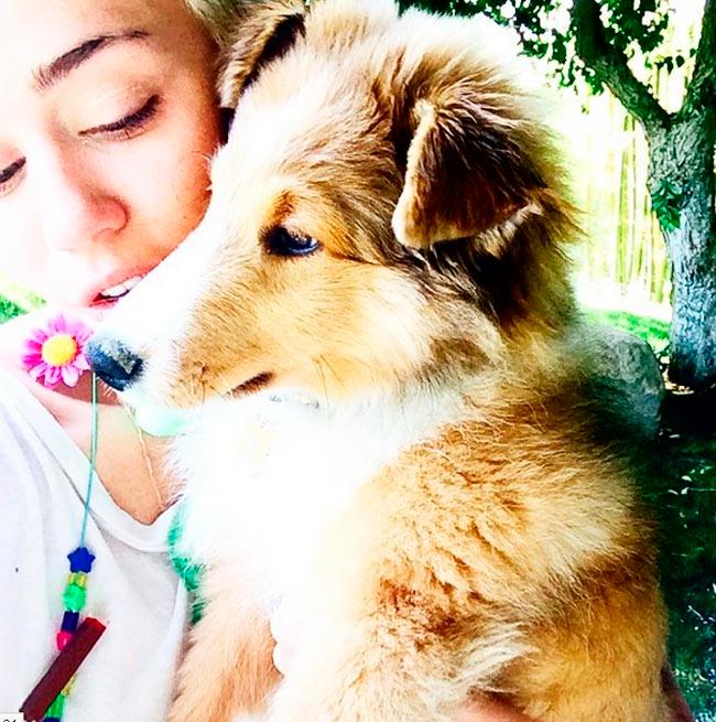 Miley Cyrus with her dog. Pic/Miley Cyrus