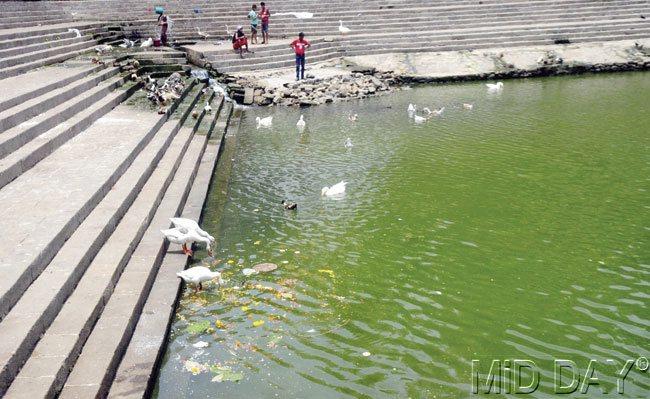 The Banganga water has not been cleaned since October last year