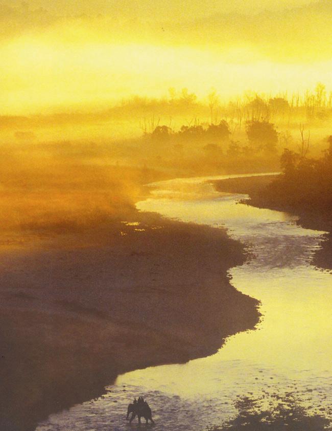 An elephant crosses the Ramganga river  as mist rises from the Jim Corbett National Park landscape. 
