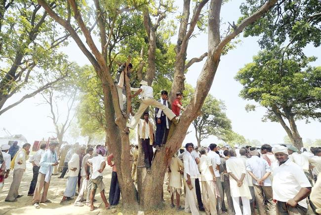 Villagers near the site of crime at Katra Shahadatganj village where two sisters were gang-raped and hanged from a mango tree, in Badaun district, on Saturday. Pic/PTI