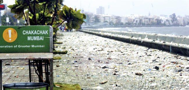 The waste from the sea was thrown onto Marine Drive yesterday, as a high tide of 4.56 metres, combined with strong winds, meant the city saw scenes reminiscent of the monsoons,  but on a bright sunny day! Pics/Emmanual  Karbhari & Datta  Kumbhar