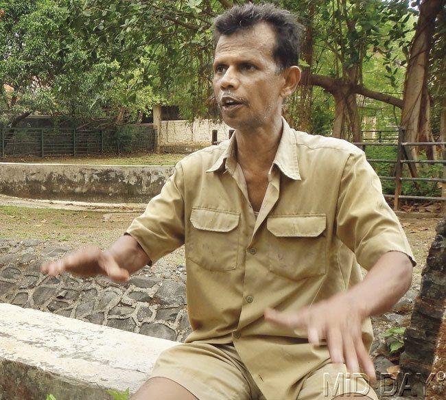 Shiva’s caretaker from Byculla zoo Ravindra Gangaram Nivate reminisces the time he spent looking after the rhinoceros. Pic/Suresh KK