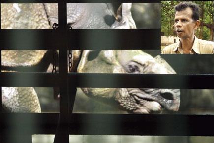 Mumbai zoo caretaker mourns death of rhinoceros Shiva
