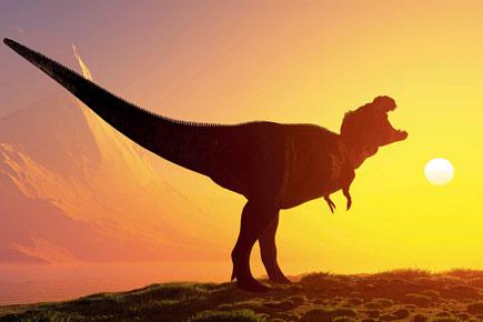 Dinosaurs' dominance led to their demise: Study