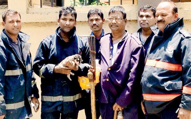 Puppy rescued by firefighters in Oshiwara