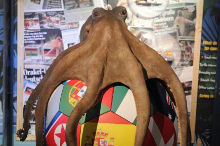 Google Doodle pays tribute to the legendary Paul the Octopus