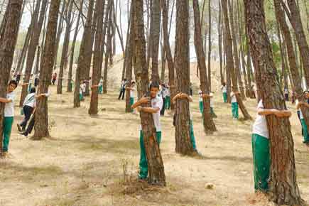 Thousands join hands to set record in tree hugging