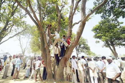 Yet another rape victim found hanging from tree in UP village