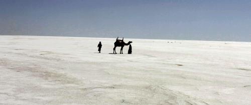 The Greater Rann and the Little Rann encompass about 30,000 square kilometres