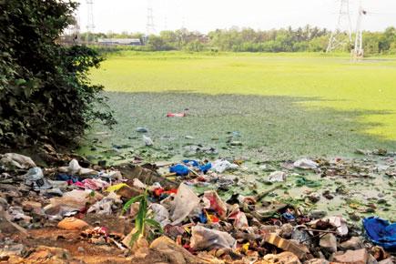Residents, bird watchers fear civic apathy could smother Lokhandwala lake
