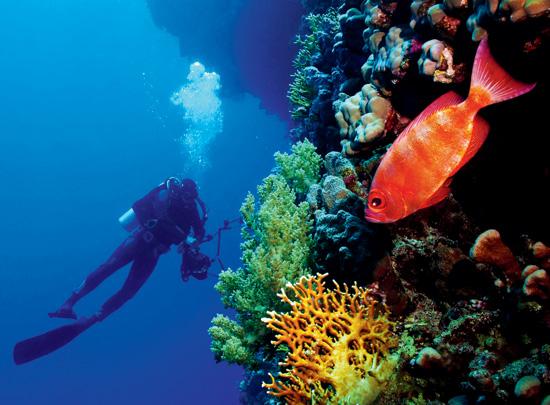 Scuba diving is one of the items on his itinerary. 