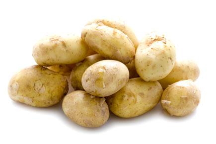 Simple potato extract can control obesity