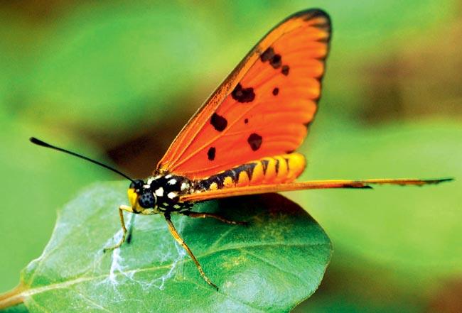 LAP OF NATURE: Take a break from the city at the Nature Park