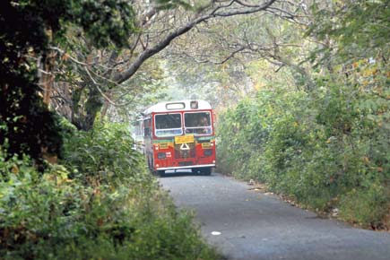 Mumbai: Don't allow MMRDA to chop Aarey trees, eco-warriors tell BMC