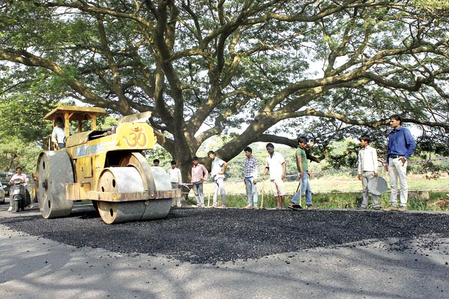 By Wednesday, road rollers had already begun the initial stages of repairs on Aarey Colony road. Pic/Nikesh Gurav