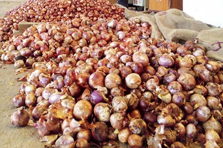 India to import 10,000 tonnes onions to check prices