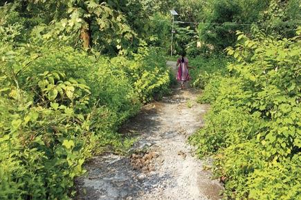 Mumbai: Aarey Colony tribals struggle with lack of basic rights and amenities