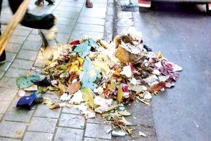 Mumbai: Dera followers gather garbage but BMC fails to collect it