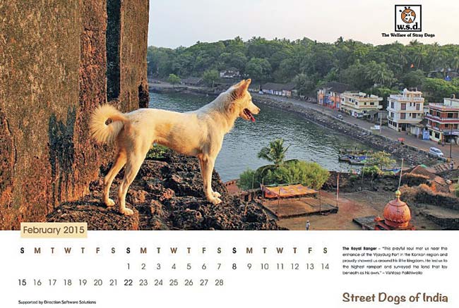 A page from the calendar