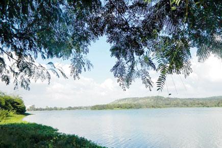 Pune Chaap: Pashan Lake