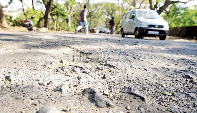 The BMC has now crushed residents’ hopes of a smoother Aarey Road, with its decision to only repair the road once work on the Goregaon-Mulund Link Road begins. Pic/Nimesh Dave