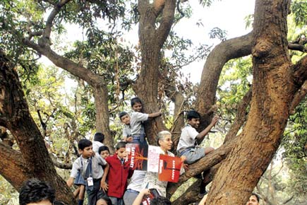 Save Aarey Milk Colony group fights MMRDA's plans to axe 2,298 trees