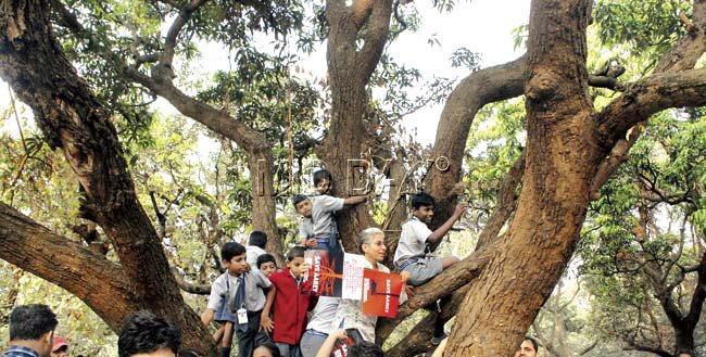 Students hug trees as part of Save Aarey campaign. Pic/Shadab Khan