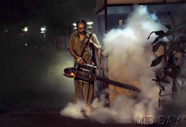 The BMC has been conducting fumigation drives and surprise checks throughout the city, but still seems to be struggling with the dengue threat. File pic