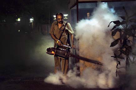 Mumbaikars, you may be arrested for spreading dengue